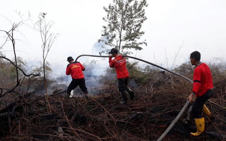 Masyarakat dan Tim Damkar PT SRL Berjibaku Padamkan Api di Kempas