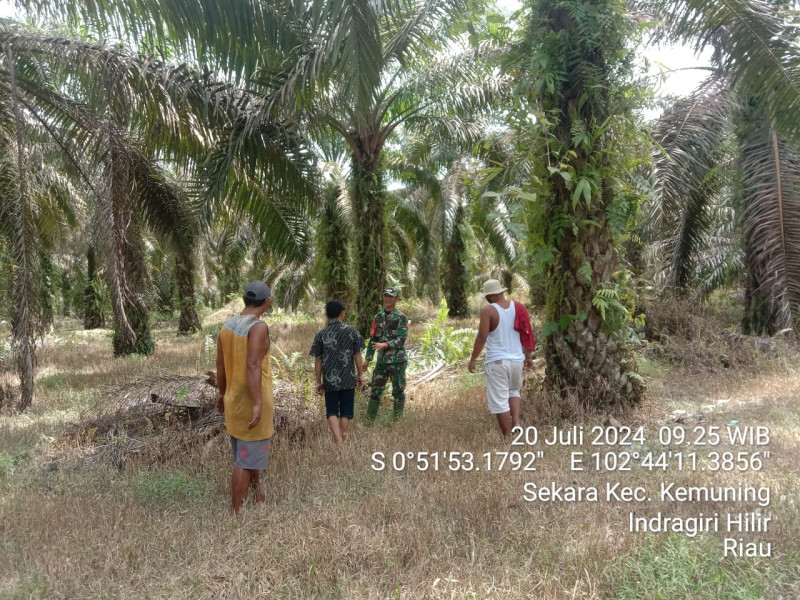 Dengan Sosialisasi, Babinsa Koramil 09/Kemuning Juga Patroli Karhutla Bersama Warga