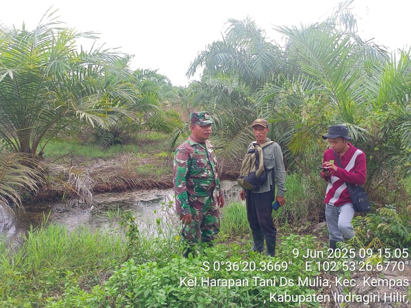 Patroli Karhutla Berhasil: Babinsa Serka N. Sipayung Pastikan Wilayah Harapan Tani Aman dari Api