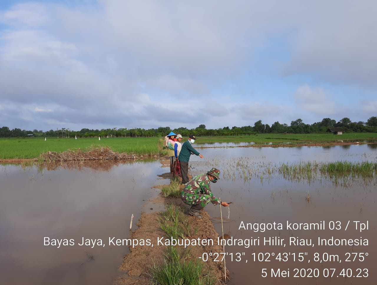 Babinsa Koramil 03/Tempuling Bersama PPL dan Kepala Desa Pantau Lahan Sawah yang Rusak