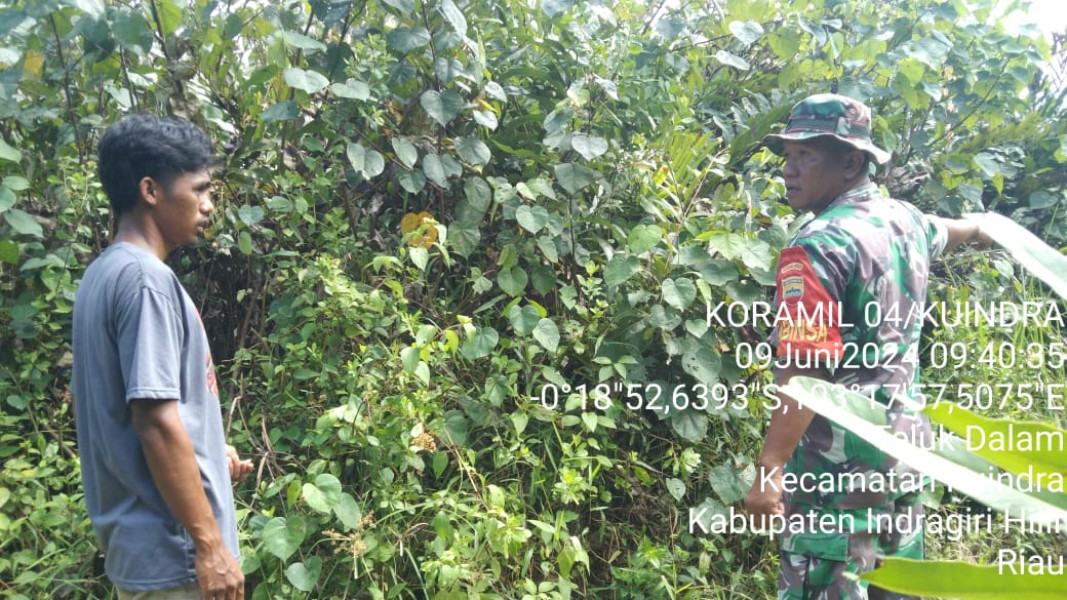 Pencegahan Karhutla Terus Rutin Laksanakan Bersama Babinsa Koramil 04/Kuindra