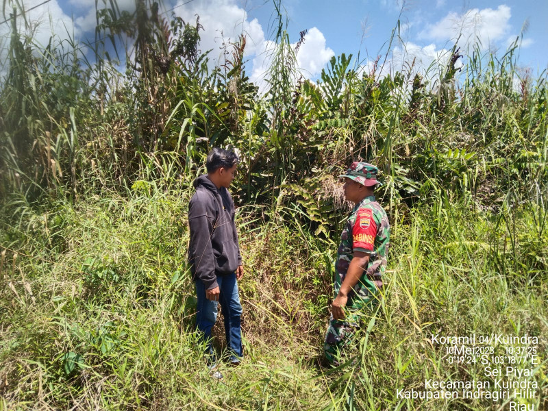 Babinsa Koramil 04/Kuindra Tetap Lakukan Patroli Karhutla