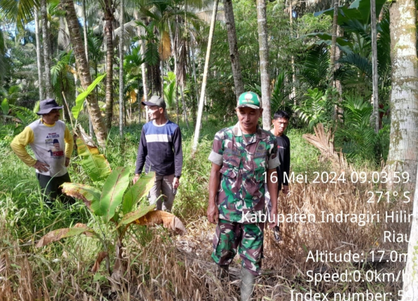 Menjadi Rutinitas, Babinsa Koramil 07/Reteh Gencar Lakukan Patroli Karhutla