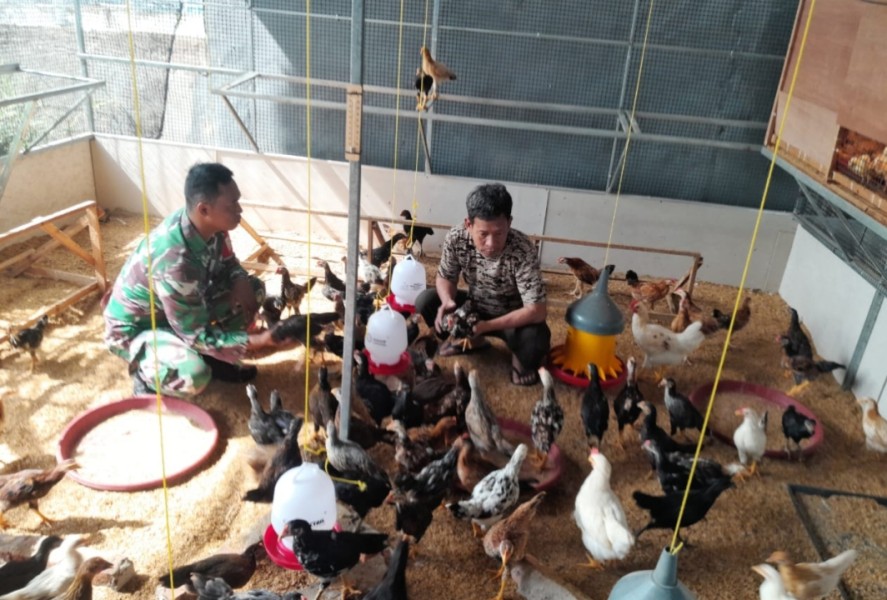Babinsa Koramil 05/Gas Laksanakan Komsos dengan Pemilik Ternak Ayam Petelur