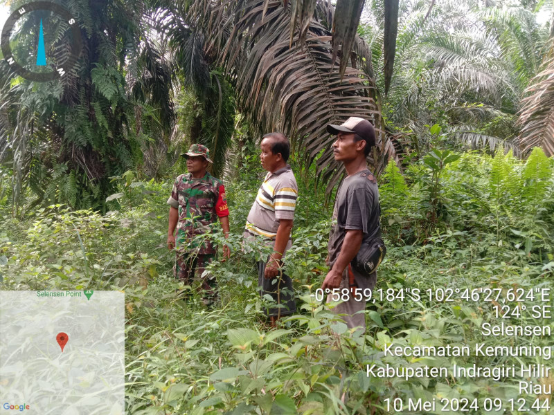 Babinsa Pelda Wiramus Ardian Giat Lakukan Pencegahan Terhadap Karhutla