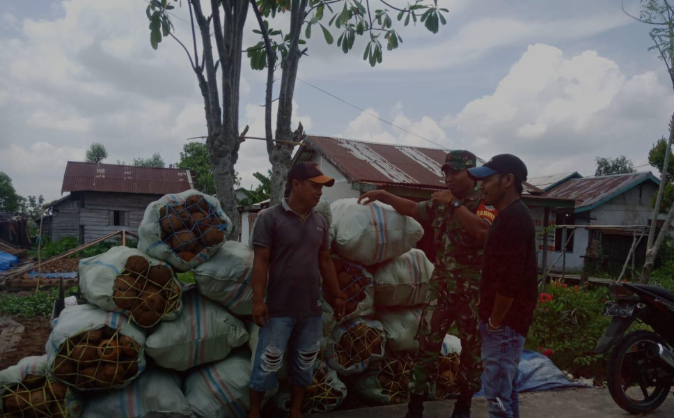 Babinsa Koramil 03/Tpl Kopda Suriadi Lakukan Komsos Dengan Petani Kopra