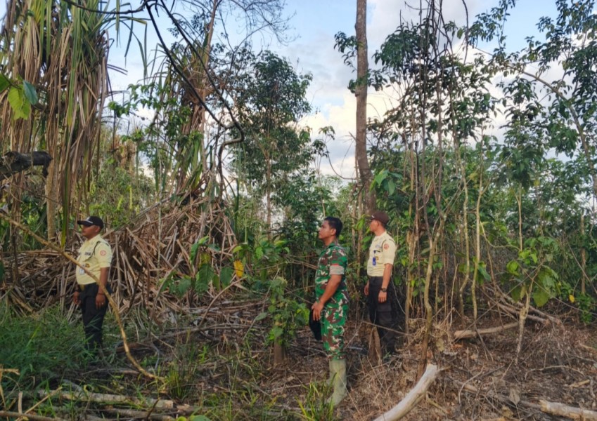 Babinsa Koramil 05/Gas Patroli Hutan dan Lahan untuk Mencegah Karhutla