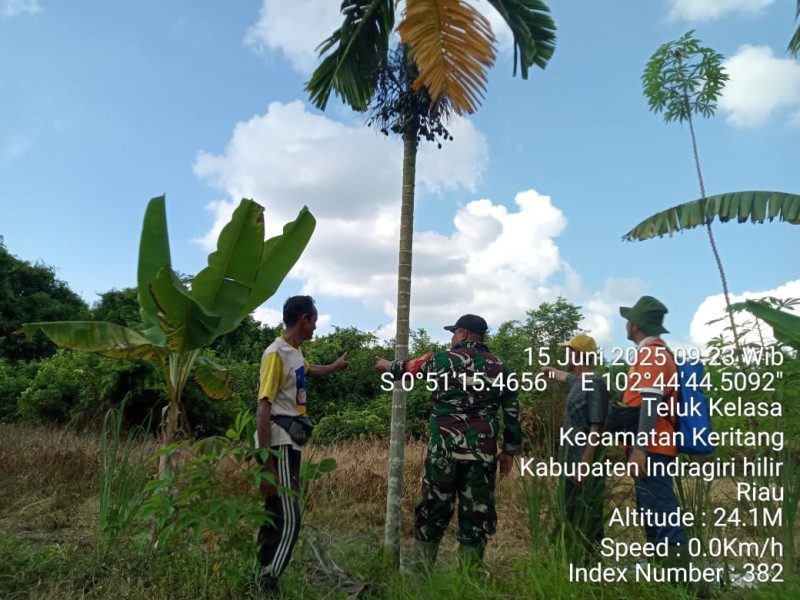 Patroli Rutin Karhutla di Wilayah Koramil 09/Kemuning: Tidak Ditemukan Titik Api dan Asap