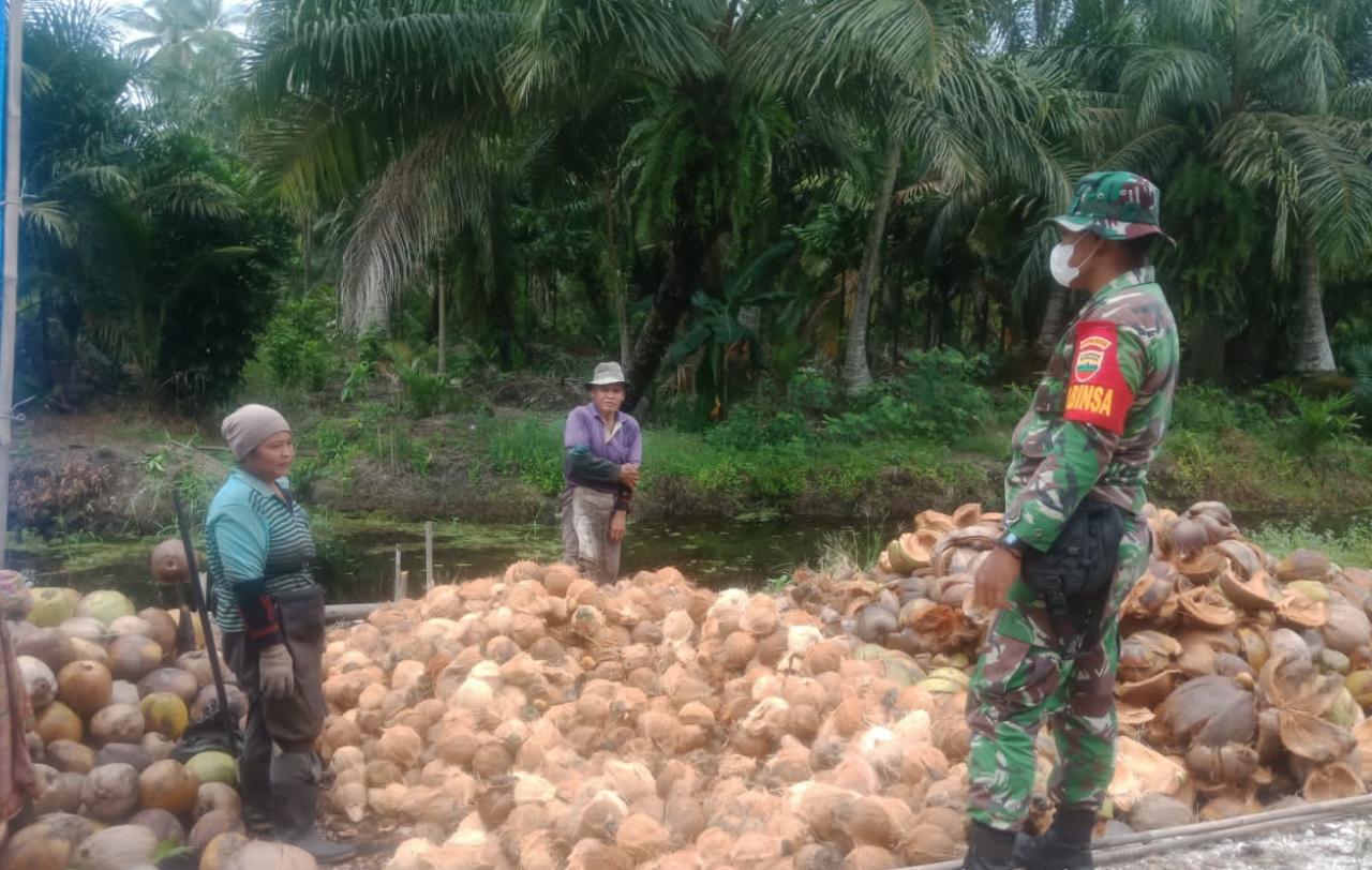 Jalin Kebersamaan, Babinsa 03/Tempuling Komsos Dengan Petani Kelapa Desa Karya Tani