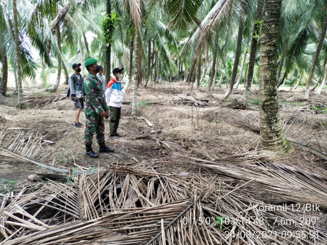 TNI Koramil 12/Batang Tuaka Pantau dan Antisipasi Lahan dari Ancaman Kebakaran