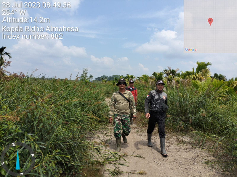 Bhabinsa Koramil 05/Gas Kodim 0314/Inhil Kopda Ridho Almahesa Gencar Lakukan Patroli Mitigasi Lahan Terbuka