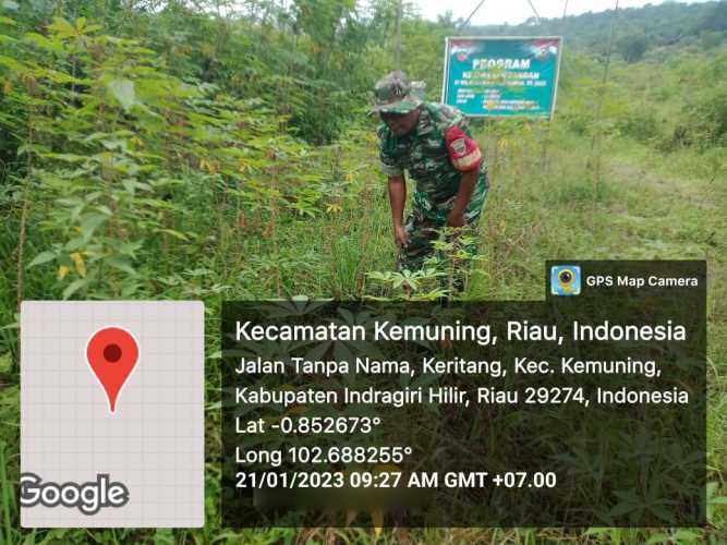 Guna Bersihkan Gulma Oleh Koramil 09/Kemuning