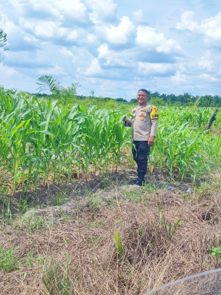 Bhabinkamtibmas Kampung Berumbung Baru Dampingi Warga Manfaatkan Lahan Kosong