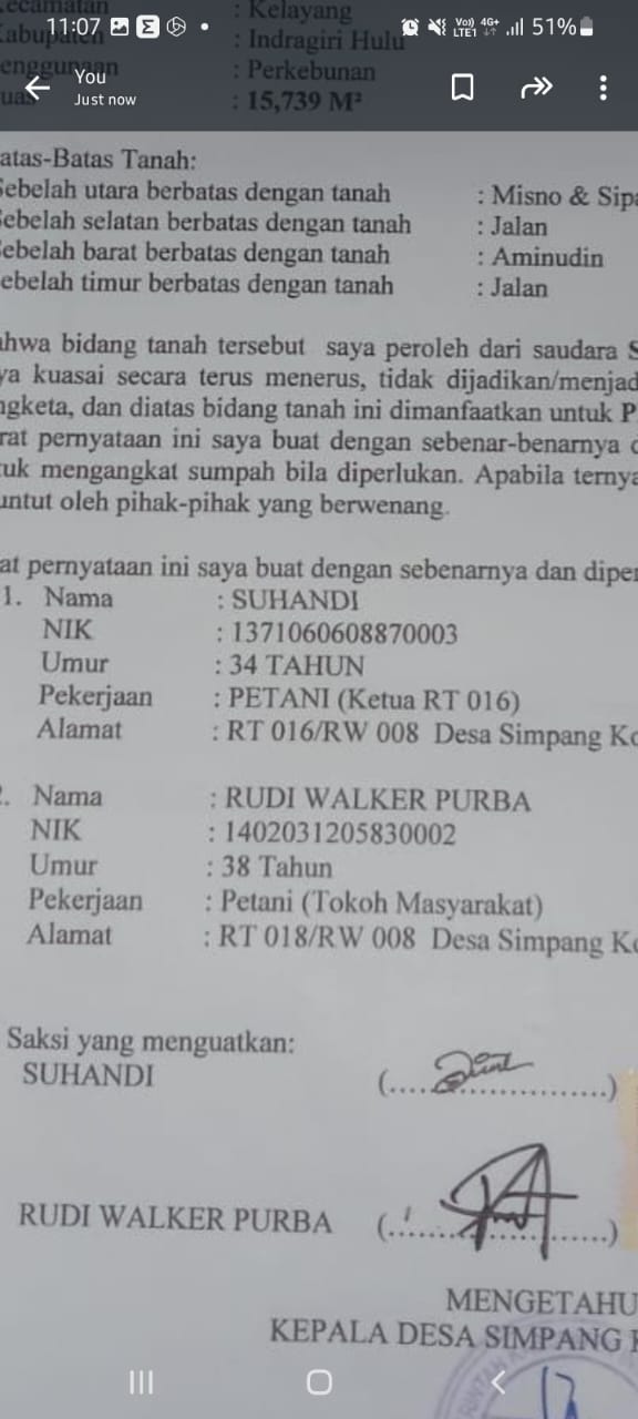 Yayasan Riau Madani Temukan Lahan Hutan di Kota Medan Inhu  Dialihfungsikan Jadi Perkebunan Sawit