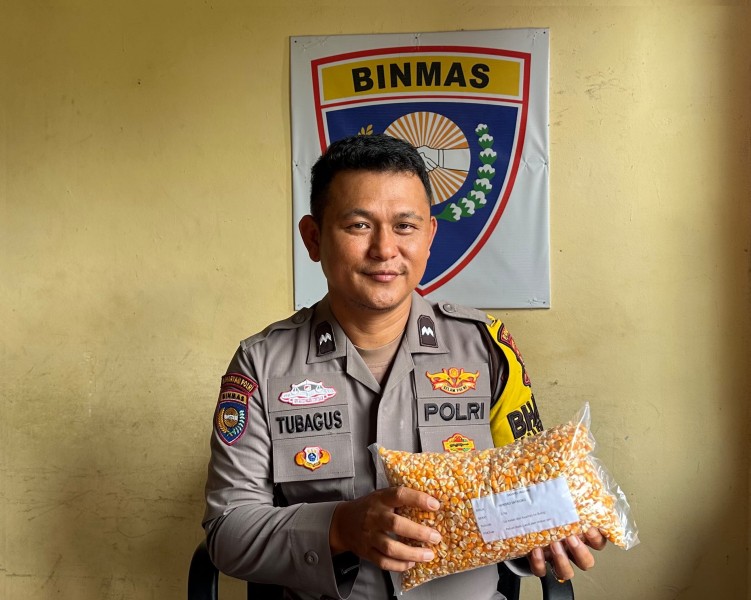 Polsek Koto Gasib Mengirimkan Sempel Jagung Pipil Ke Bulog