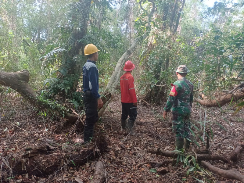 Bhabinsa 05/Gas Kopda Chandra Manto Terus Lakukan Patroli dan Antisipasi Karhutla