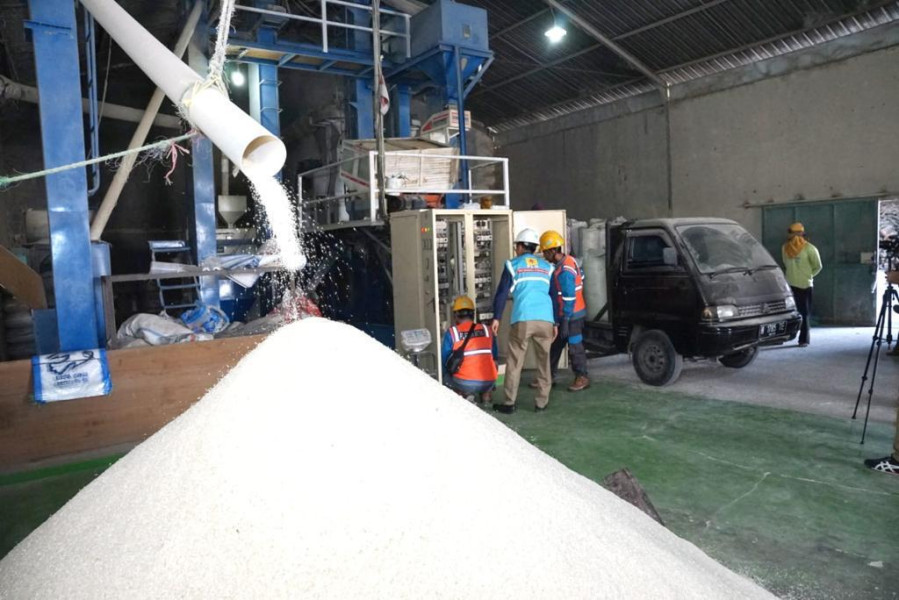 Program EA PLN Sukses Dukung Produktivitas 6.167 Petani di 197 Lokasi di Indonesia