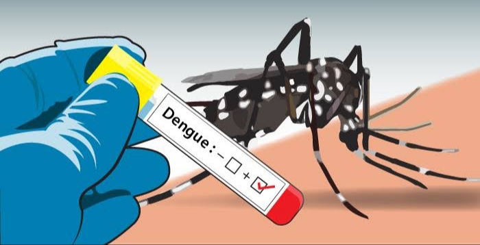 Cegah DBD Dinkes Inhil Himbau Masyarakat Terapkan 3 M Plus
