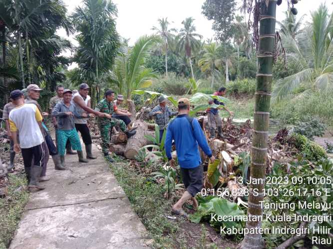 Giat Goro Bersama Babinsa Koramil 04/Kuindra Guna Membersihkan Ranting-Ranting