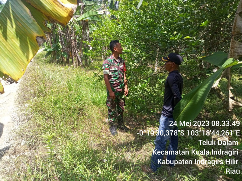 Babinsa Koramil 04/Kuindra Jaga Hutan dan Lahan Melalui Patroli Rutin
