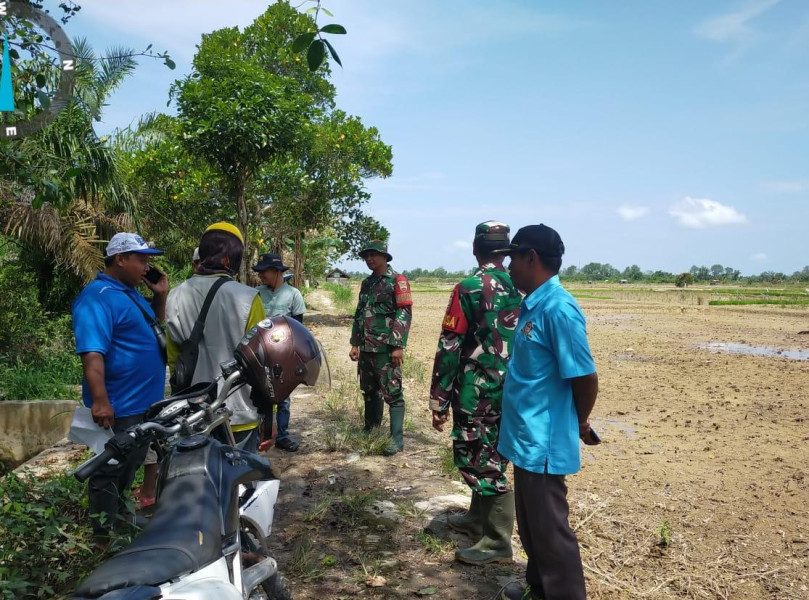 Babinsa 03/Tpl Lakukan Pendampingan BWSS Dan BSIP Provinsi Dalam Rangka Verifikasi Pompanisasi