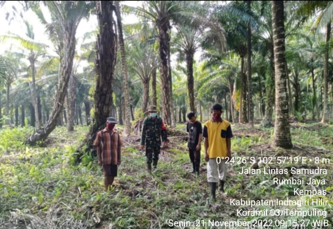 Babinsa Koramil 03/Tempuling Intens Dalam Melaksanakan Patroli dan Sosialisasi Karlahut