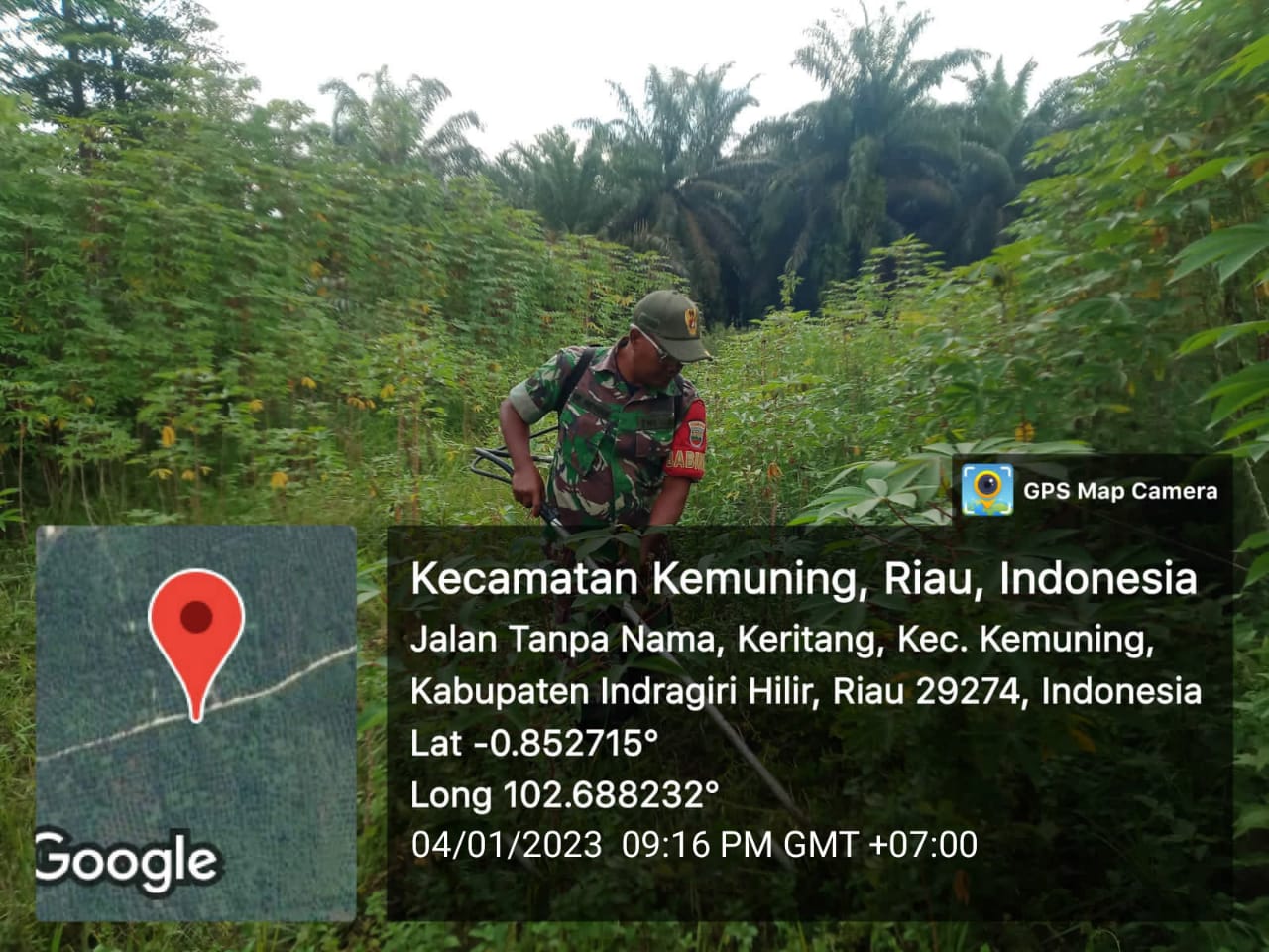 Koramil 09/Kemuning Giat Lakukan Penyiapan Rumput dan Gulma