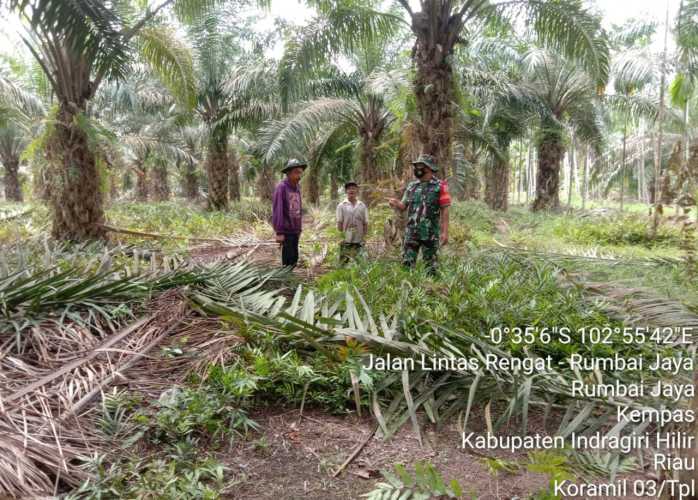 Rutin Patroli Karlahut Bersama MPA, Babinsa Koramil 03/Tpl Tidak Temukan Titik Api