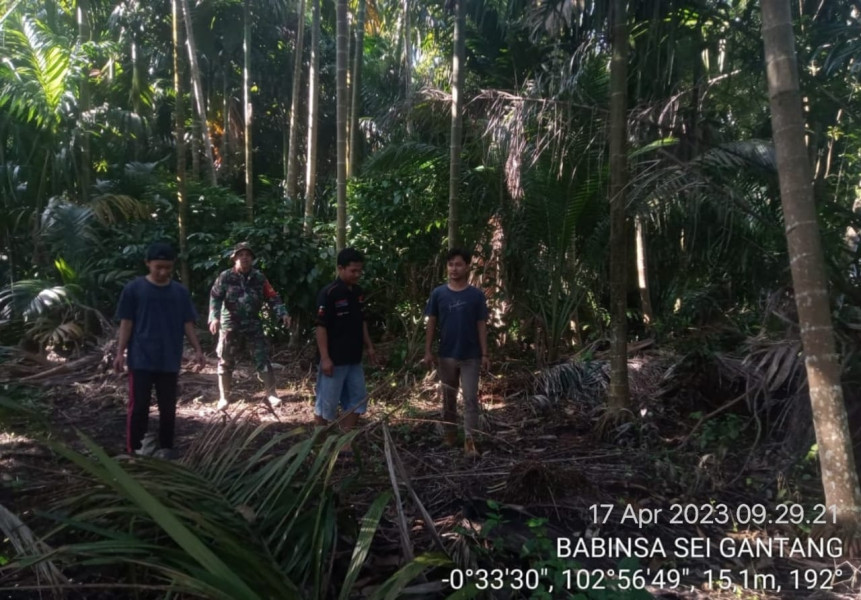 Babinsa 03/Tpl Intens Ajak Warga Patroli Karhutla Wilayah Binaan