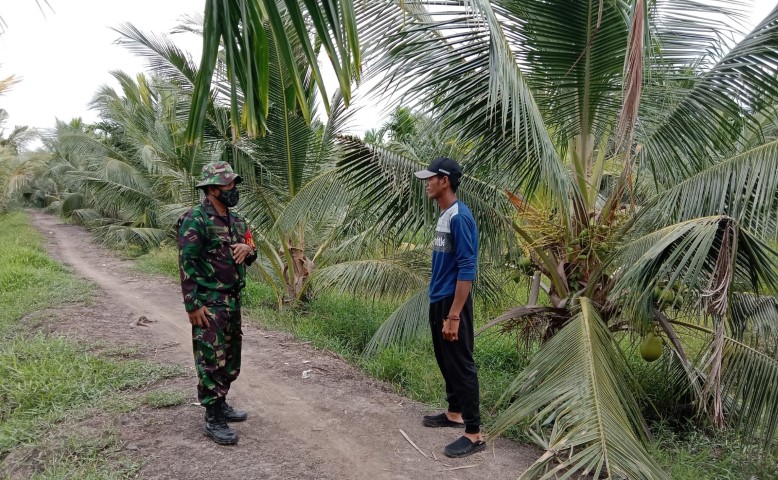 Babinsa Koramil 04/Kuindra Rutin Melakukan Pencegahan Kebakaran Hutan dan Lahan