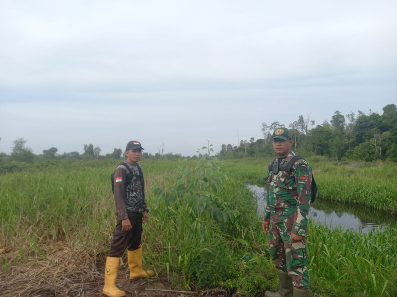 Cegah Kebakaran Hutan Babinsa Koramil 05/Gas Pratu Sandi Wahyudi Giat Laksanakan Patroli