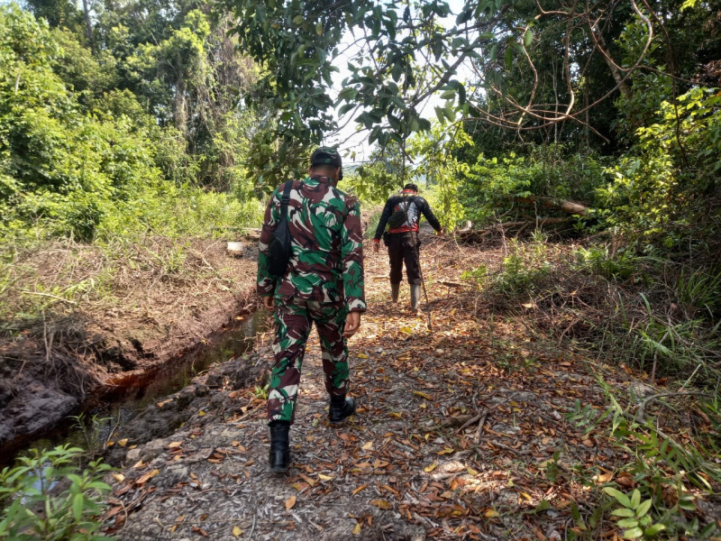 Babinsa 05/Gas Pratu Sandi Wahyudi Gencar Patroli Hutan dan Lahan di Desa Binaan