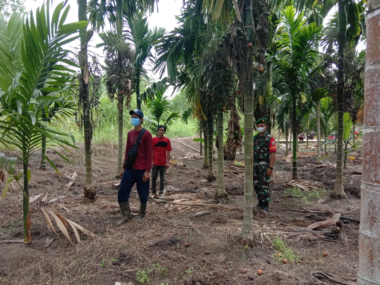 Peduli Terhadap Lingkungan, Babinsa Koramil 04/Kuindra Lakukan Patroli dan Sosialisasi