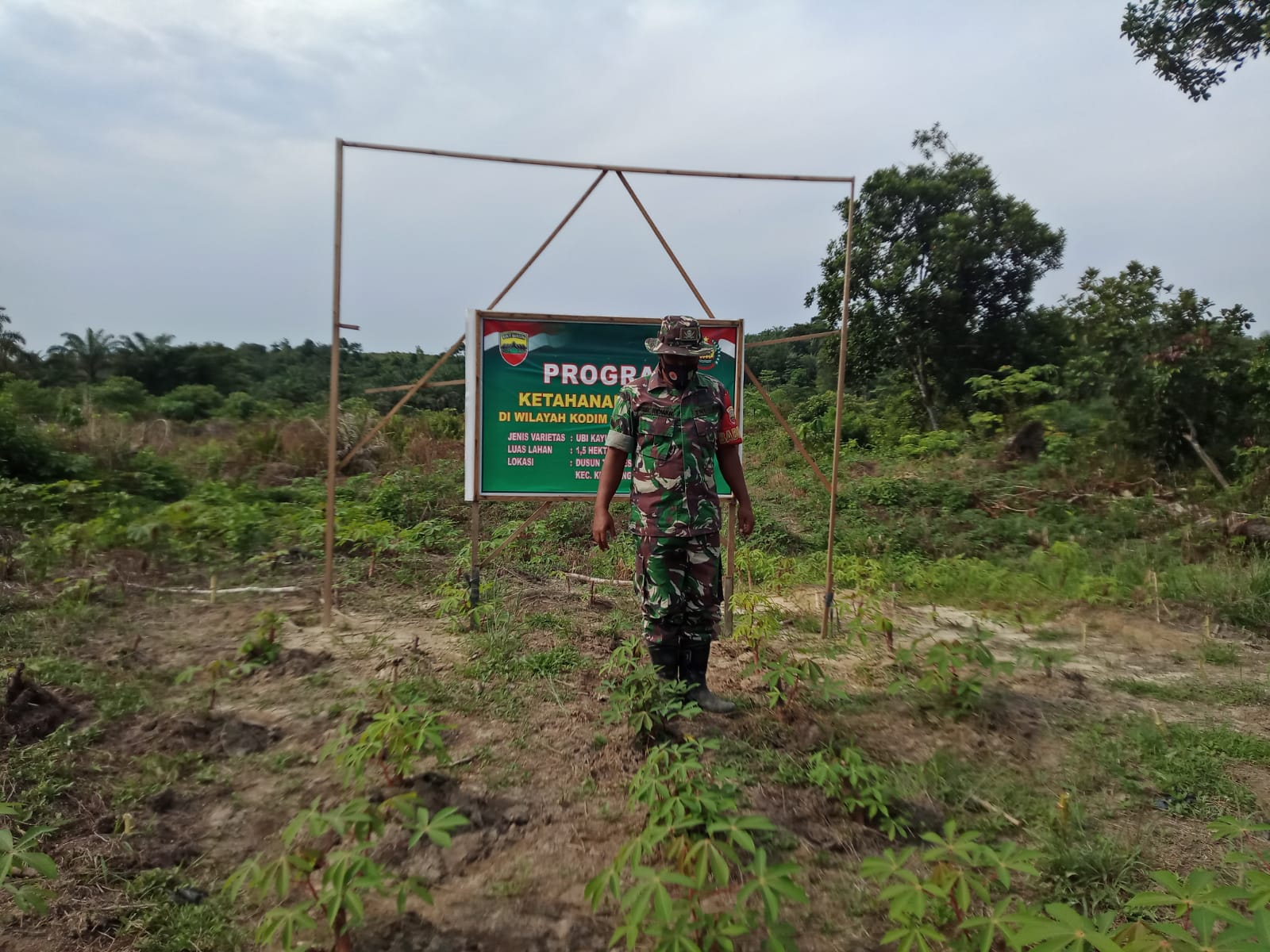 Koramil 09/Kemuning, Serka M. Ridwan Rutin Lakukan Kegiatan Ketahanan Pangan di Wilayah