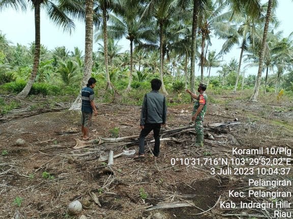 Patroli Rutin, Babinsa Koramil 10/Pelangiran Terus Telusuri Lahan dan Hutan Warga