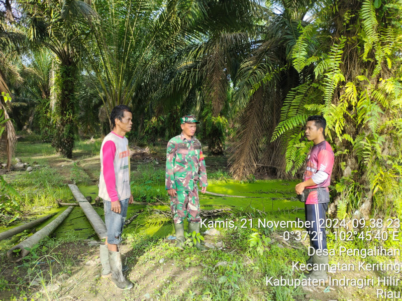 Dengan Warga, Babinsa Koramil 09/Kemuning Rutin Lakukan Pemantauan Terhadap Lahan dan Hutan