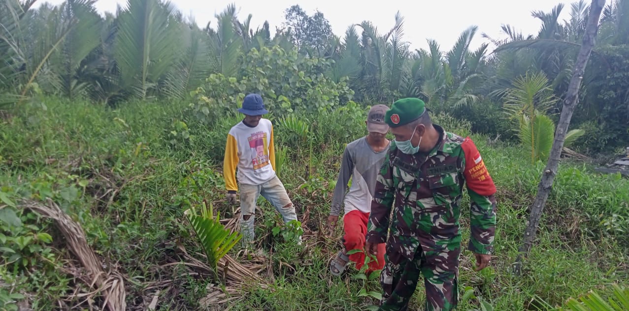 Babinsa Koramil 04/Kuindra Terus Melakukan Upaya Pencegahan Kebakaran Hutan dan Lahan