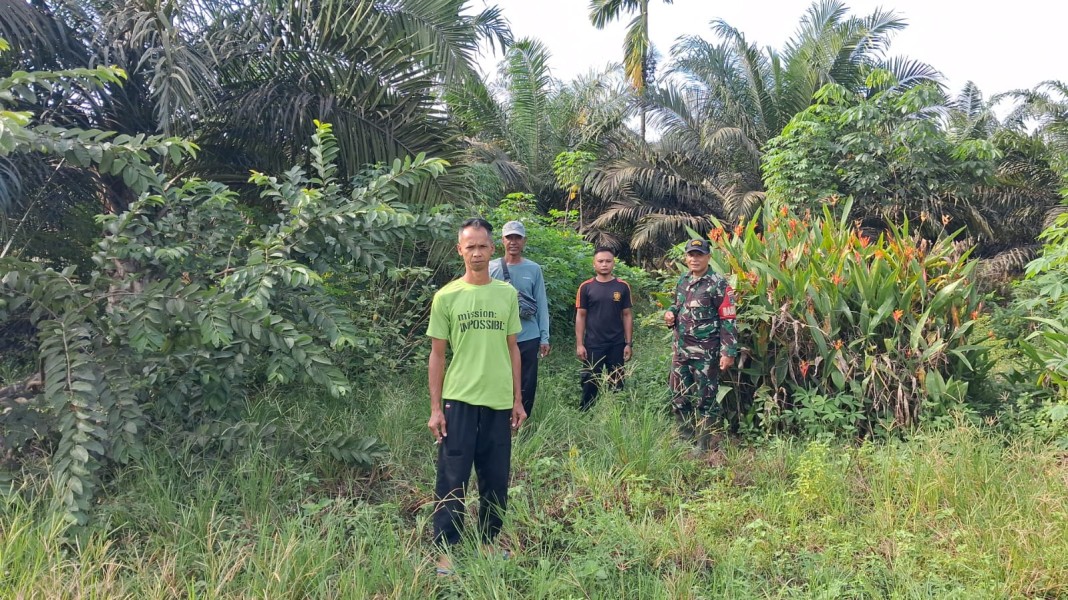 Babinsa Koramil 03/Tpl Gencarkan Patroli Tapal Batas, Wujud Nyata Menjaga Kamtibmas