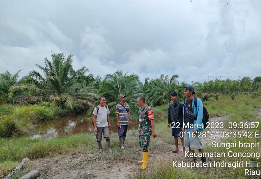 Rutin Patroli Karhutla Oleh Babinsa Koramil 04/Kuindra di Desa Binaan