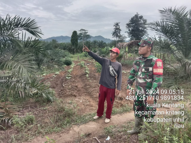 Babinsa Sertu Refi Nasution Himbau Masyarakat Untuk Cegah Karhutla di Wilayah Binaan