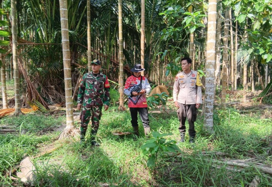Bhabinsa Koramil 05/Gas Kodim 0314/Inhil Gencar Lakukan Patroli Mitigasi