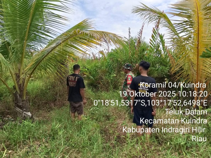 Koramil 04/Kuindra Gencar Laksanakan Patroli Tapal Batas untuk Menjaga Keamanan Wilayah Teluk Dalam