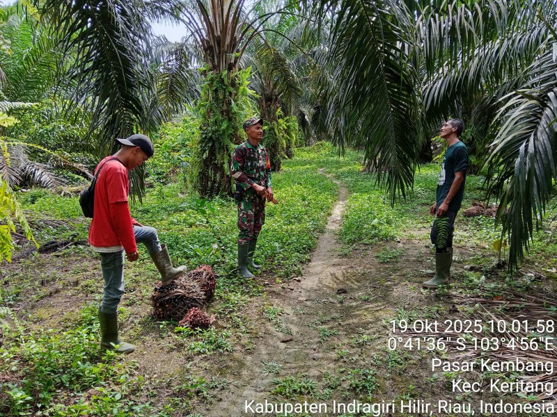 Babinsa Koramil 09/Kemuning Laksanakan Patroli Tapal Batas dan Karhutla di Wilayah Desa Pasar Kembang