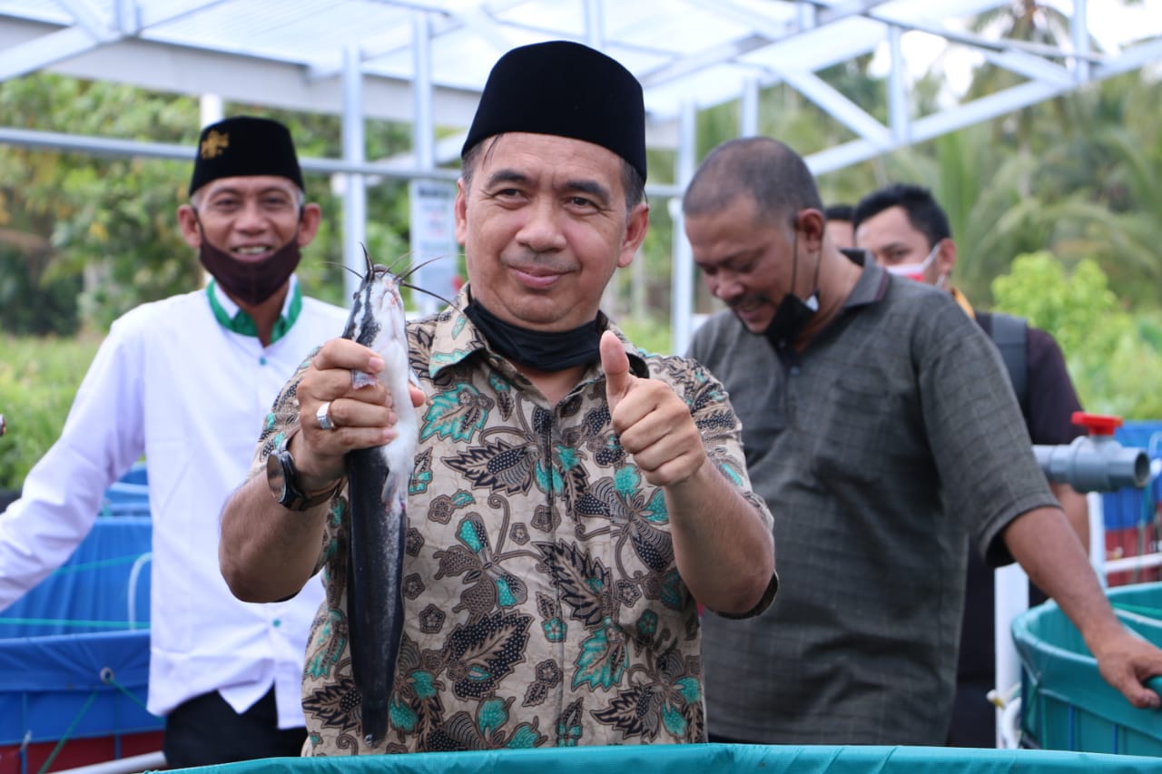 Ketua DPRD Inhil Buka Secara Resmi Panen Perdana Ikan Lele di Ponpes Syekh Abdurrahman Sidiq II
