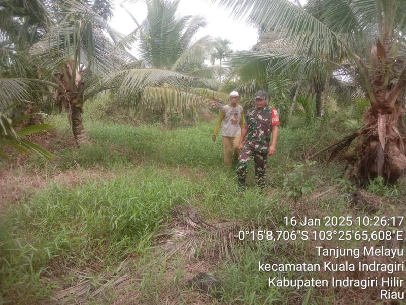 Babinsa Koramil 04/Kuindra Rutin Mengawasi Karhutla di Wilayah Binaan