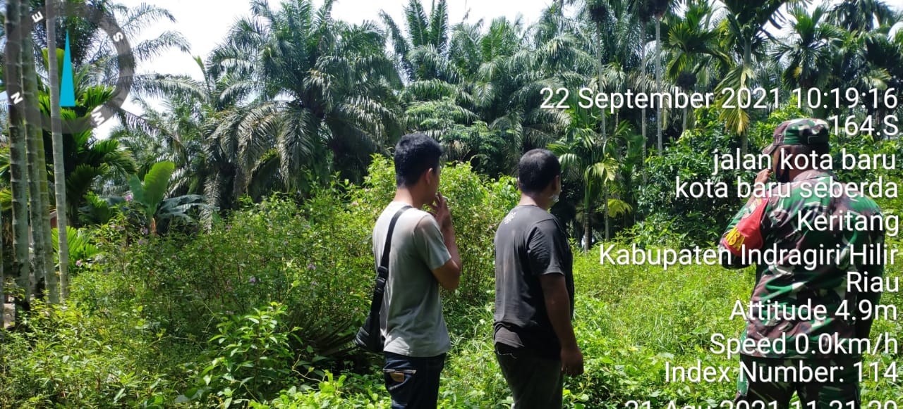 Kopda Nasrianto Lakukan Patroli Karhutla di Desa Pasar Kembang