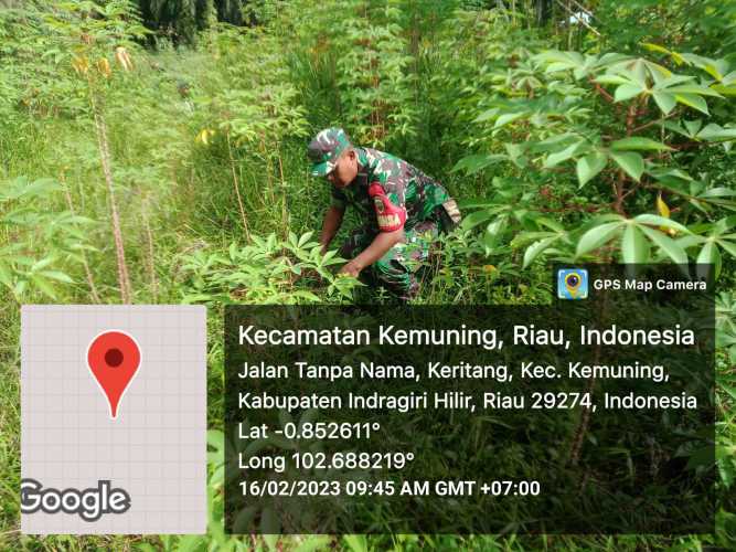 Koramil 09/Kemuning Terlihat Rutin Lakukan Pembersihan Terhadap Gulma
