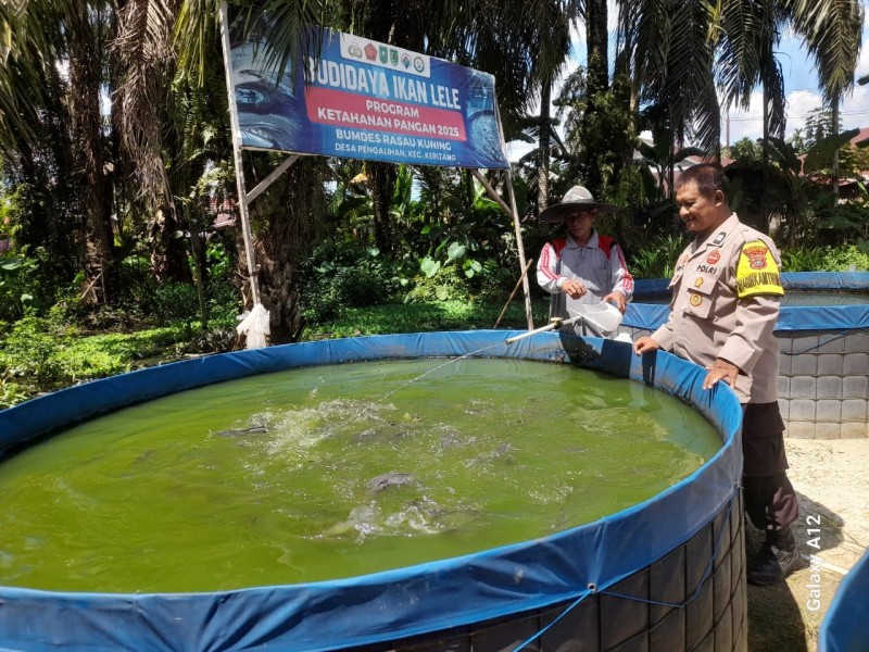 Polsek Keritang Kawal Ketahanan Pangan, Aiptu Agus Tinjau 12 Kolam Lele Bioflok BUMDes