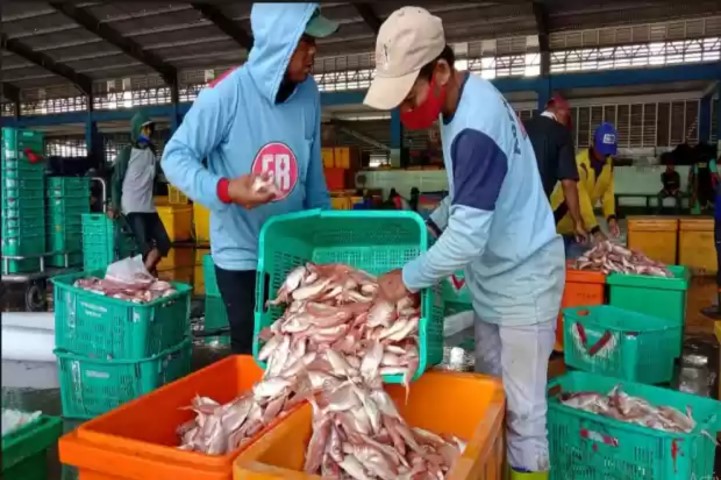 Dampak Cuaca Buruk, Harga Ikan Laut di Lamongan Naik
