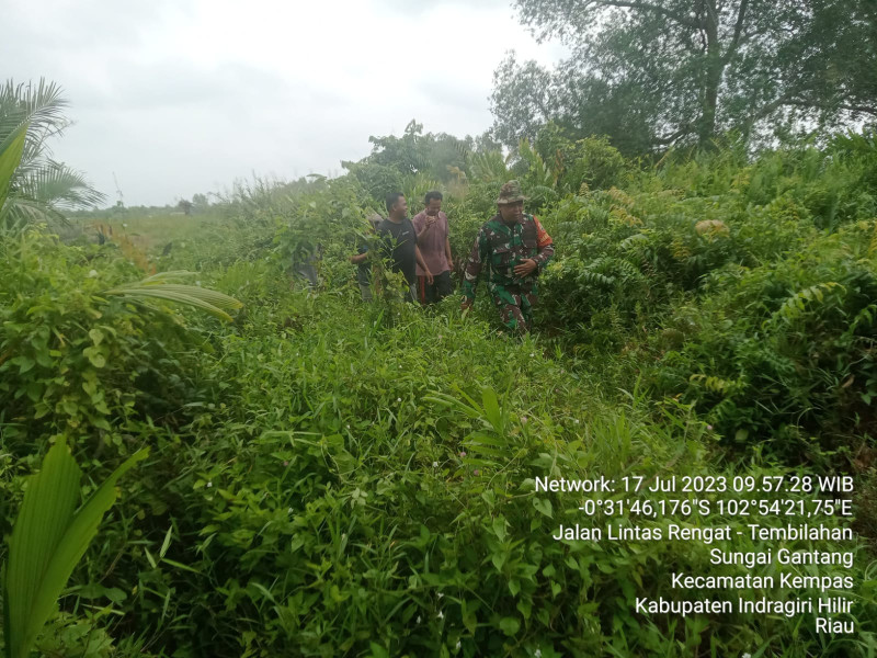 Babinsa Koramil 03/Tpl Lakukan Pembersihan Terhadap Karhutla